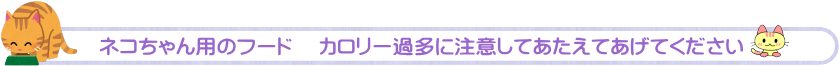 あい動物病院 豊中 豊中市 大阪府豊中市 動物病院